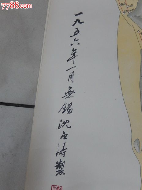 五六年无锡沈白涛绘《针灸取穴参考图》