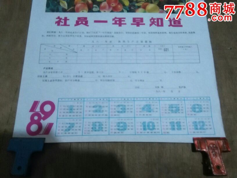 81年年历表两张图片