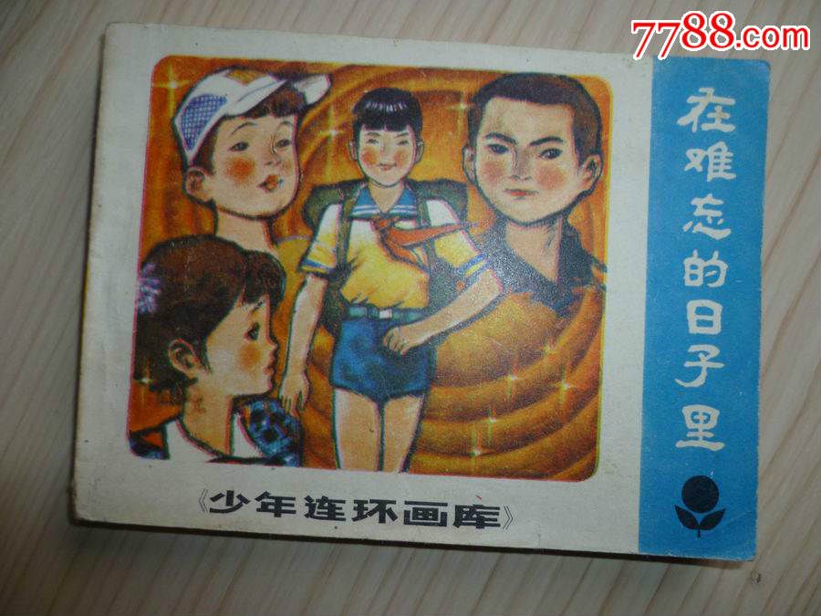 在难忘的日子里