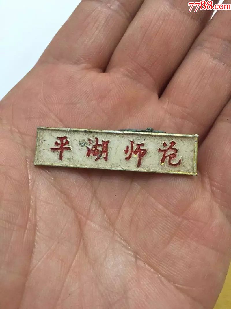 稀少:平湖师范校徽一枚