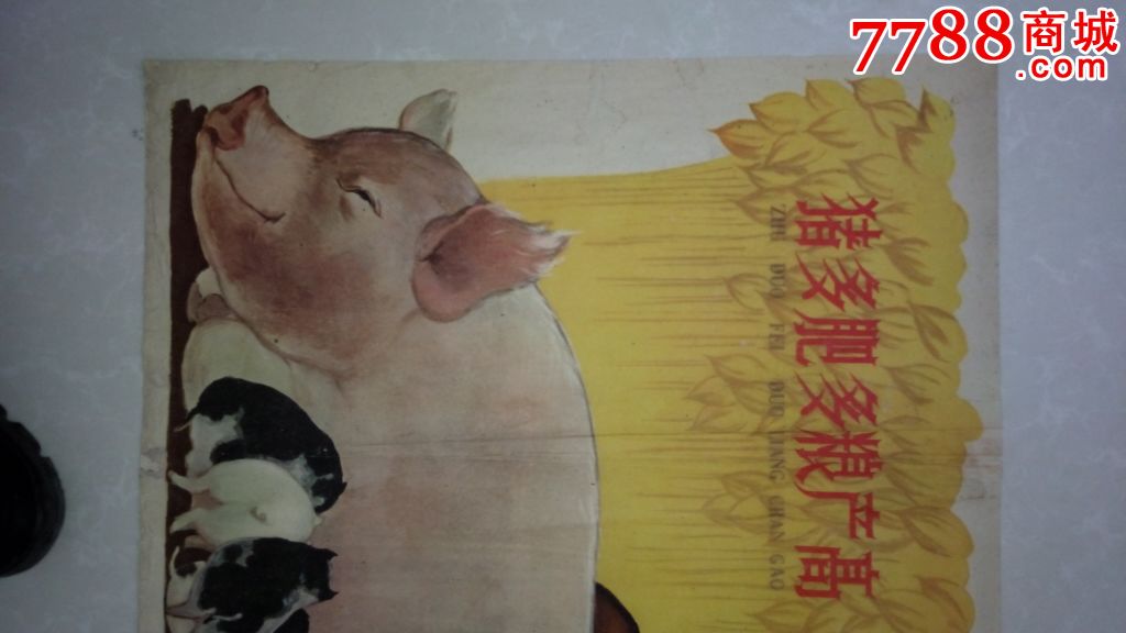 1959年宣传画:猪多,肥多,粮产高(对开,大跃进浮夸风题材,猪养得跟大象