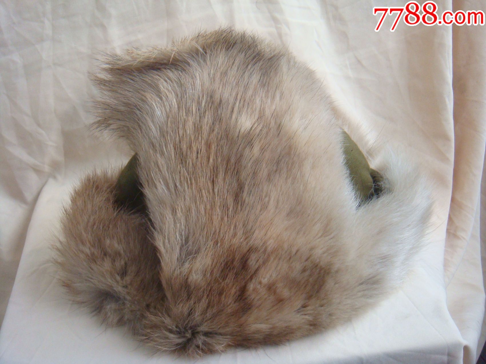 早期狗皮棉军帽