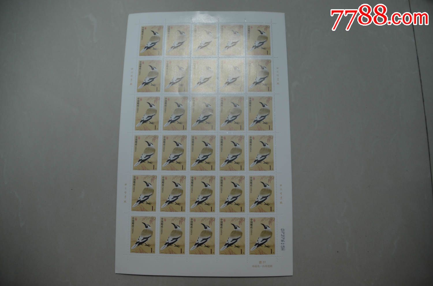 普31《中国鸟·白尾地鸦》(完整版)