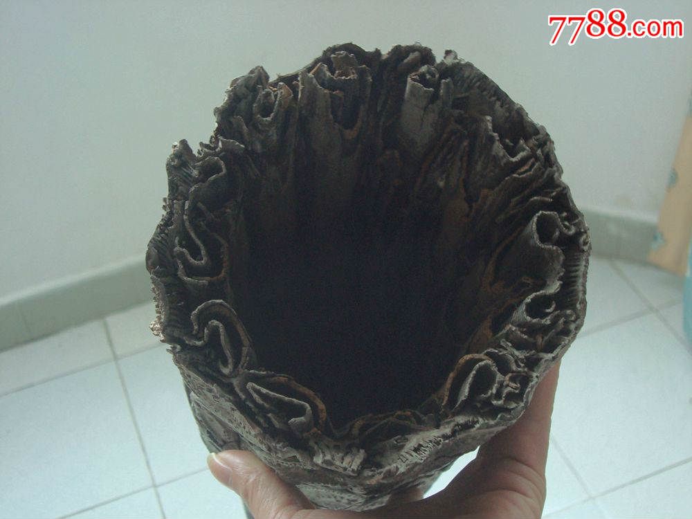 空心木(自然原木纹)原木摆件