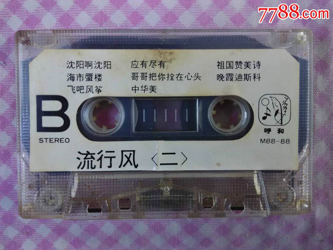 1988流行风联唱图片