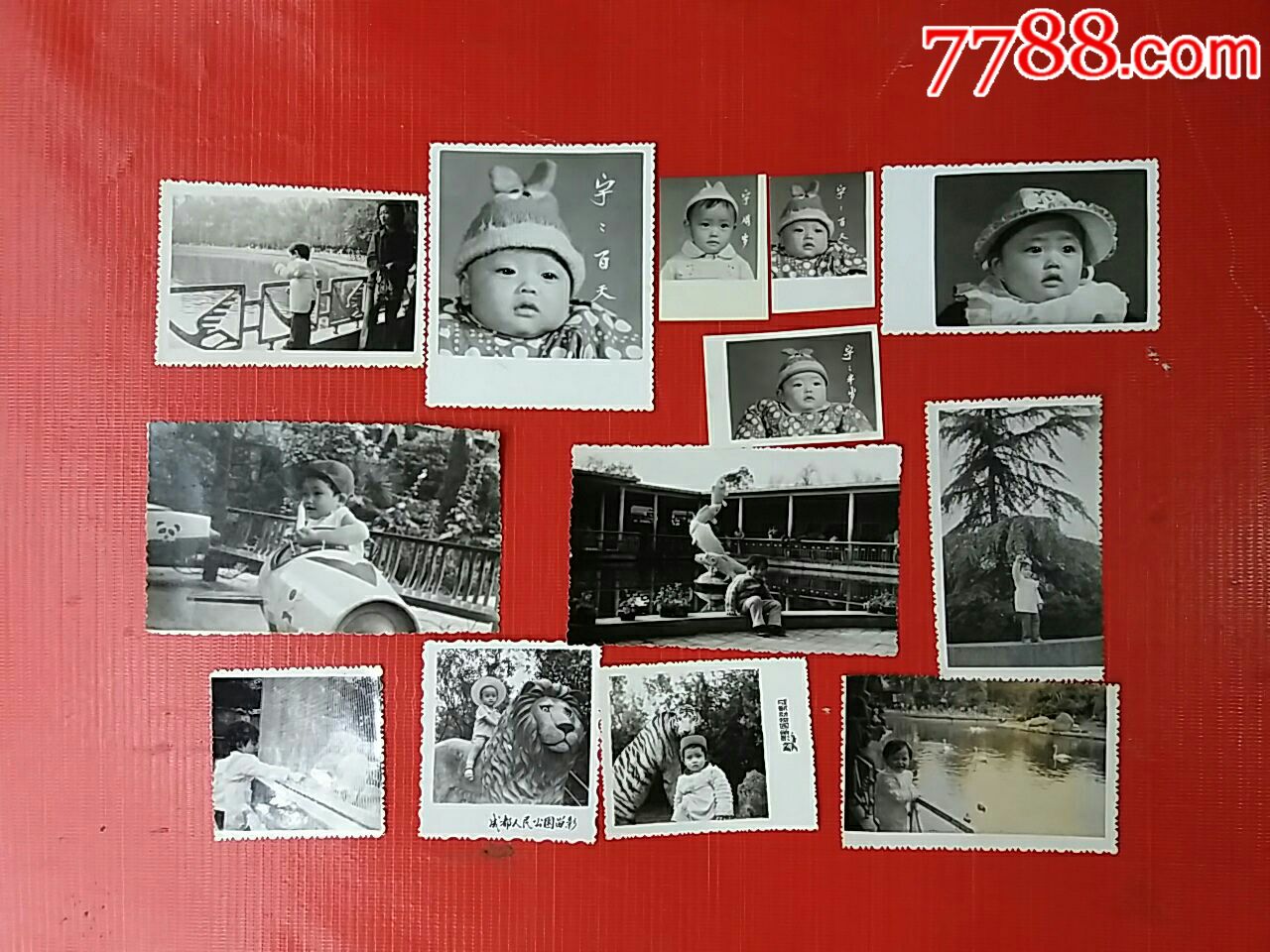 八十年代初.儿童照片13张