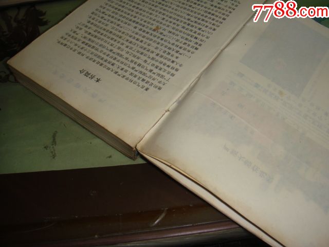 严新大师在北美