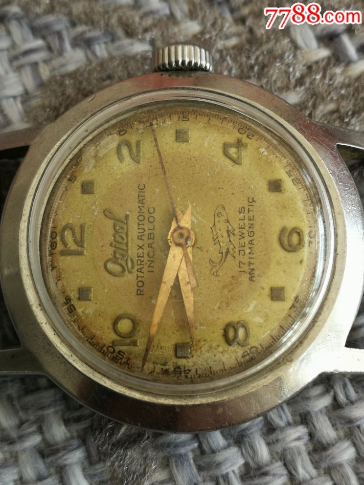 奥奇佛自动中型表